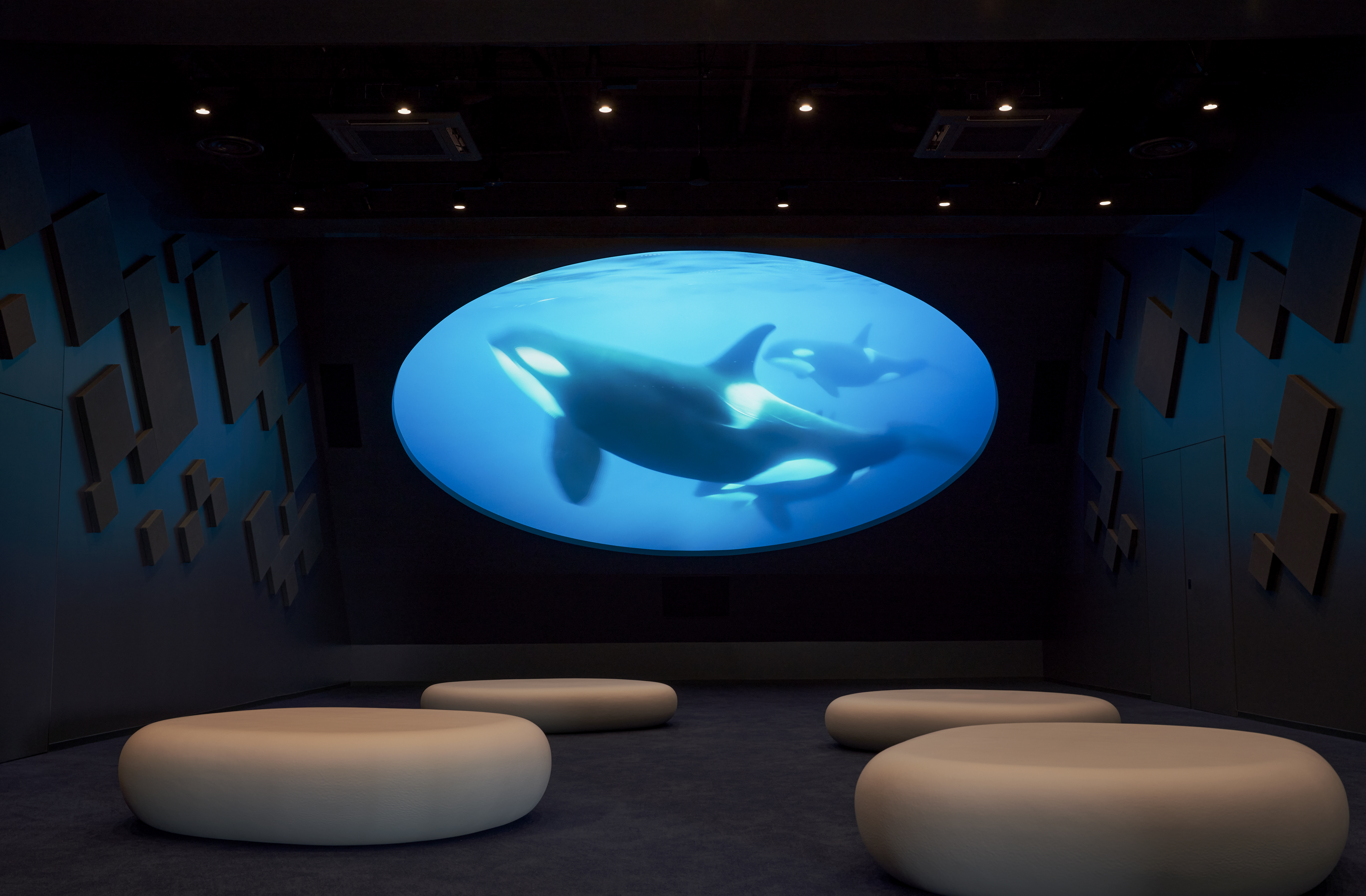 神戸須磨シーワールド「オルカラボ」、「オルカホール」